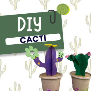 image of the completed cacti craft with the word DIY cacti