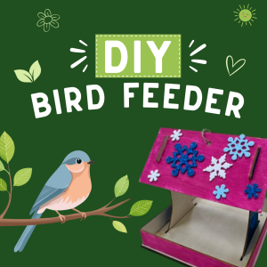 image of a completed bird feeder and the words DIY bird feeder.
