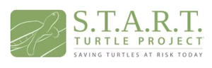 Image of the START turtle project logo "saving turtles at risk today"